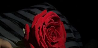 Jakiego akcentu uczymy się w szkole?