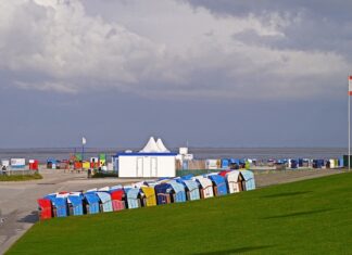 Jak Spłukać toalete w samolocie?