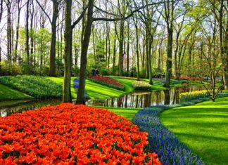 Jakie dania są typowo polskie?