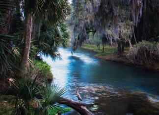 Kiedy nie jechać na Florydę? Kiedy nie jechać na Florydę?