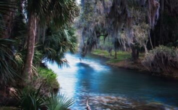Kiedy nie jechać na Florydę?