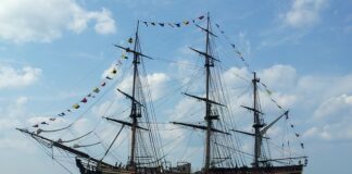 Co eksportuje Słowenia?