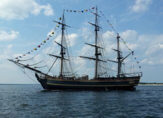 Co eksportuje Słowenia?