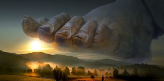 Skąd się bierze siła nośna?