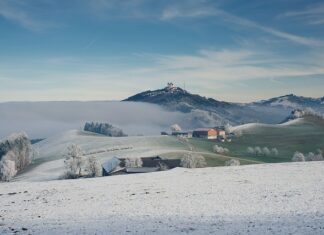 Ile wynosi kara za przejazd bez biletu?