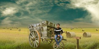 Ile f22 jest w Polsce?