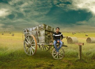 Ile f22 jest w Polsce?