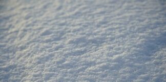 Kto jest pierwszy w grupie C?