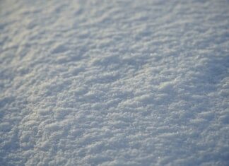 Kto jest pierwszy w grupie C?