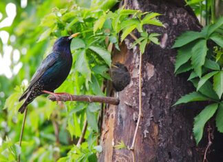 Jaki kraj jest najsilniejszy na świecie? Jaki kraj jest najsilniejszy na świecie?