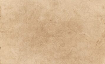 Gdzie wyrzuca się papier toaletowy do kosza?