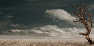 Kto może kupić ziemię w USA?