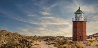 Czy w Niemczech jest ptasie mleczko?