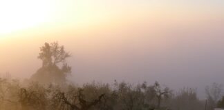 W jakim kraju najtrudniej zdać prawo jazdy?