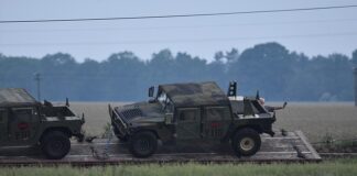 Czego nie wolno przewozić do USA?