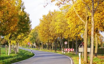 Jak ominąć płatną autostradę w Słowenii?