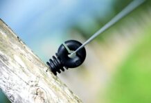 Jak nazywają Polaków za granicą?