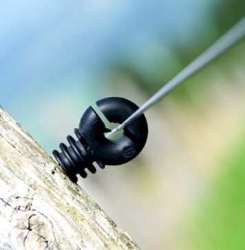 Jak nazywają Polaków za granicą?