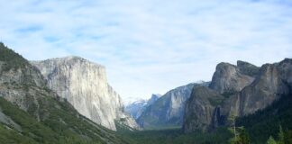 Czy w USA jest urlop?