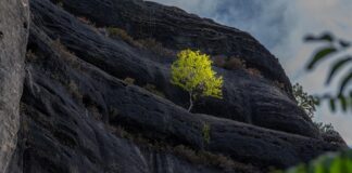 W jakim kraju nie ma gór?