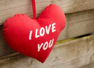 Gdzie są wordy w Polsce? Gdzie są wordy w Polsce?