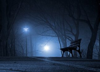 Które miejsce na świecie ma polska armia?