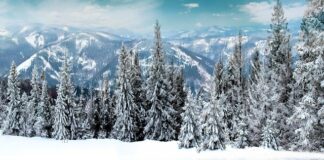 Jakie było pierwsze państwo na świecie?