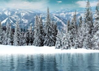 Jakie było pierwsze państwo na świecie?