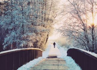 Ile jest dni wolnych od pracy w USA? Ile jest dni wolnych od pracy w USA?