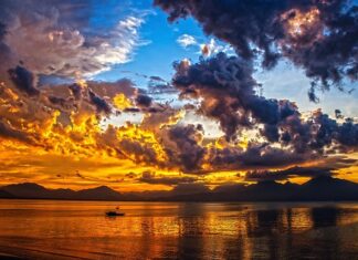 Czy Łódź się wyludnia?