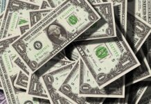 Ile dolarów na 2 tygodnie w USA? Ile dolarów na 2 tygodnie w USA?