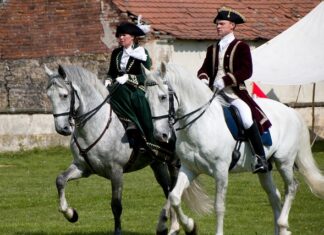 Ile to jest 50 kun na zł? Ile to jest 50 kun na zł?