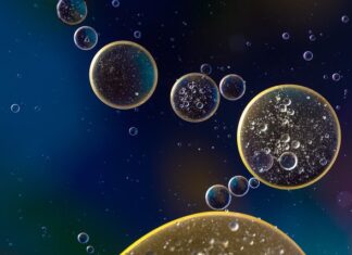 Na co uważać w Chorwacji w wodzie? Na co uważać w Chorwacji w wodzie?