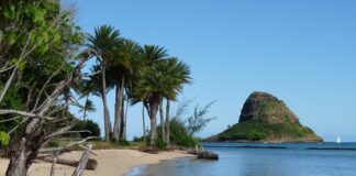 Ile na świecie jest Chińczyków?