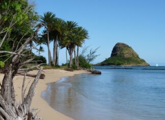 Ile na świecie jest Chińczyków? Ile na świecie jest Chińczyków?