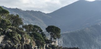 Ile kosztuje wino w USA?