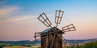 Czy Polska policja ma dostęp do niemieckiej bazy danych?