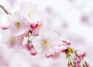 Kogo jest więcej na świecie? Kogo jest więcej na świecie?