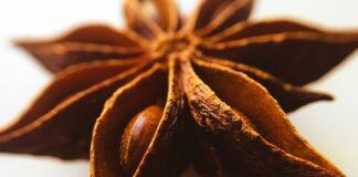 Co oznaczają gwiazdki na fladze USA?