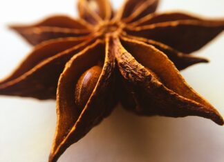 Co oznaczają gwiazdki na fladze USA?