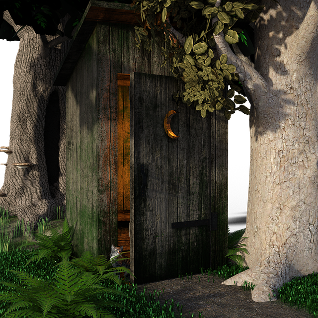 Jak otworzyć kibel w pociągu? Jak otworzyć kibel w pociągu?