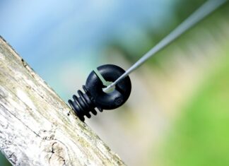 Gdzie jest najwięcej Polaków w USA?