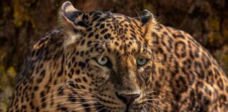 Co jest bardziej niebezpieczne start czy lądowanie samolotu?