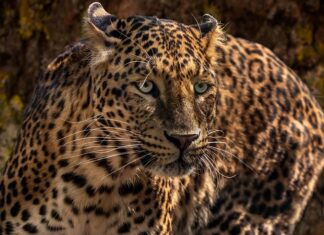 Co jest bardziej niebezpieczne start czy lądowanie samolotu?