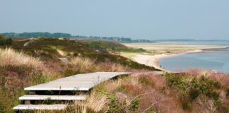 Ile jest Polek i Polaków?