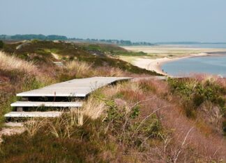 Ile jest Polek i Polaków? Ile jest Polek i Polaków?