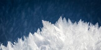 Co znaleziono pod lodem?