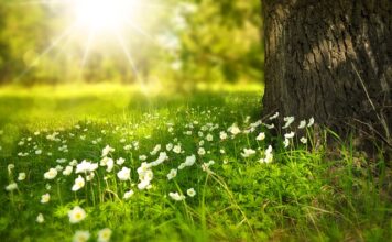 Ile żyją piękne osoby w Polsce?