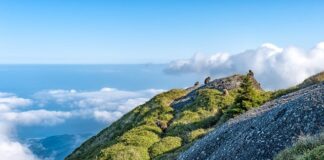 Jaka jest różnica między This is a it is?