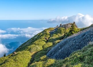 Jaka jest różnica między This is a it is? Jaka jest różnica między This is a it is?